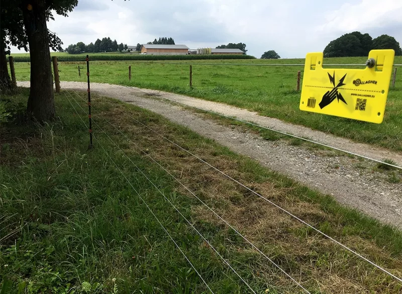 Wolf-proof fencing